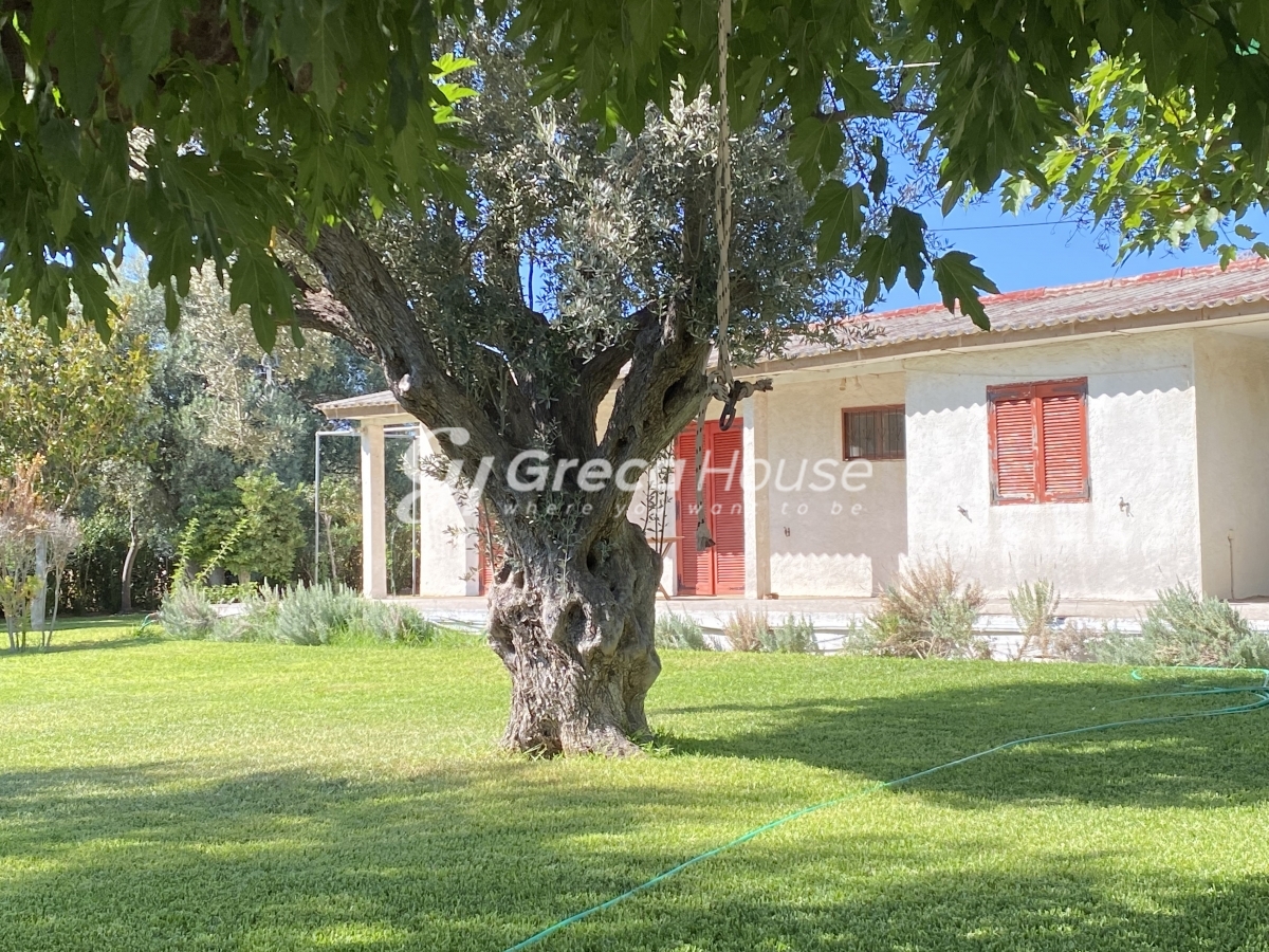 Μονοκατοικία στην Μαγούλα, Ερέτρια — Φωτογραφία 5 από 30