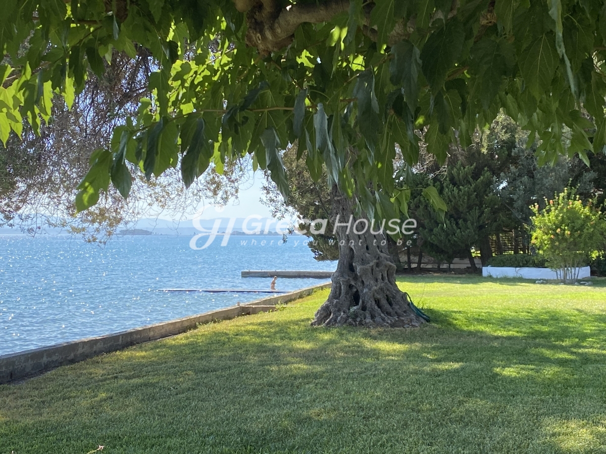 Μονοκατοικία στην Μαγούλα, Ερέτρια — Φωτογραφία 24 από 30