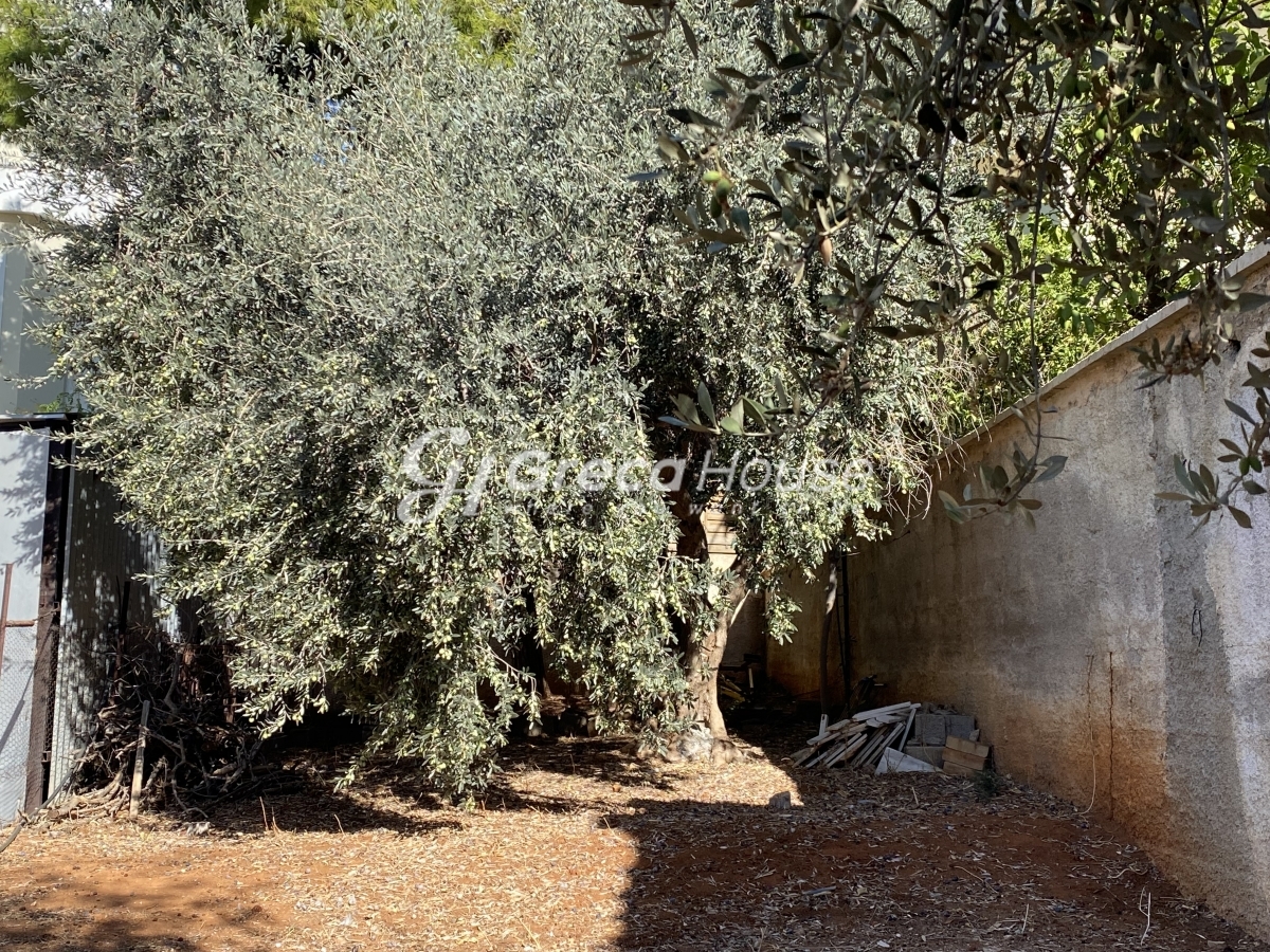 Κτήριο στην Άνω Βούλα, Βούλα — Φωτογραφία 4 από 28