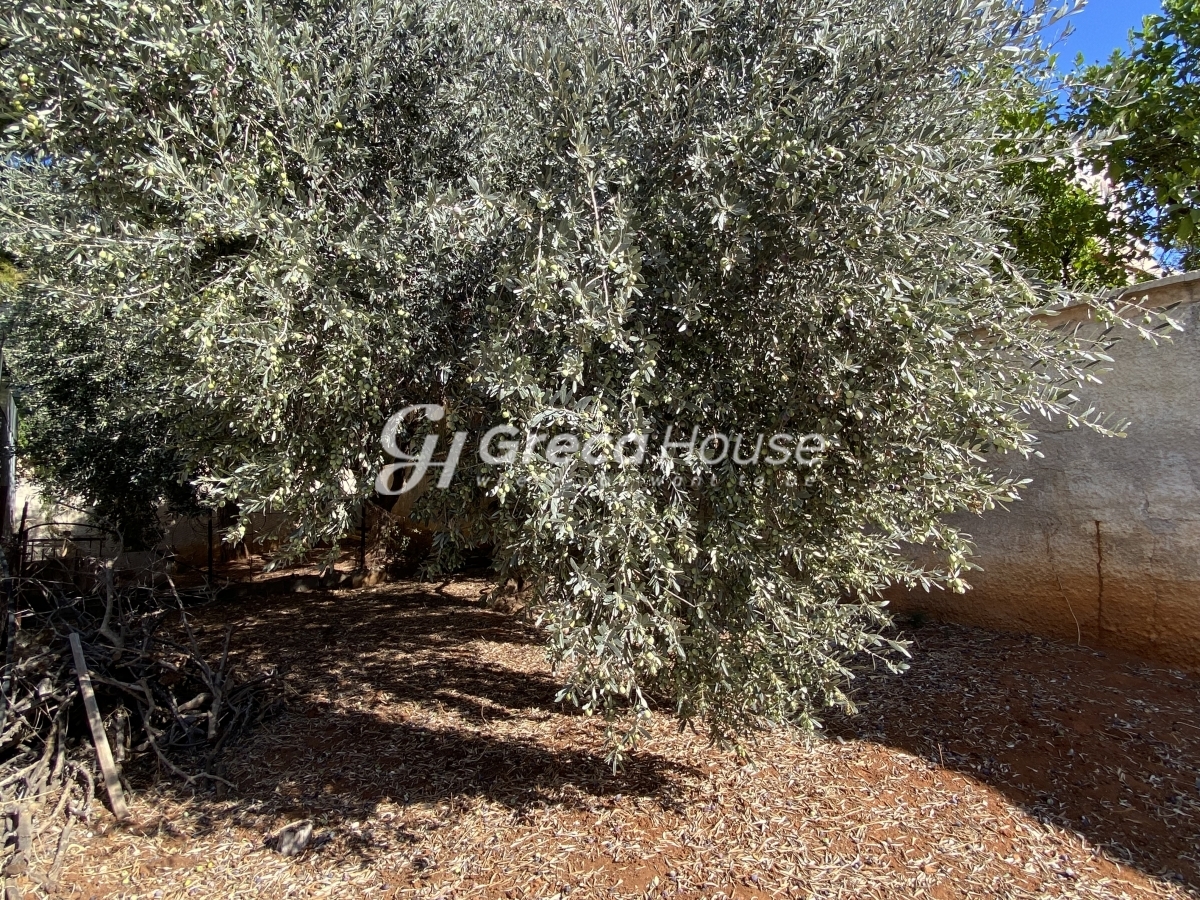 Κτήριο στην Άνω Βούλα, Βούλα — Φωτογραφία 19 από 28