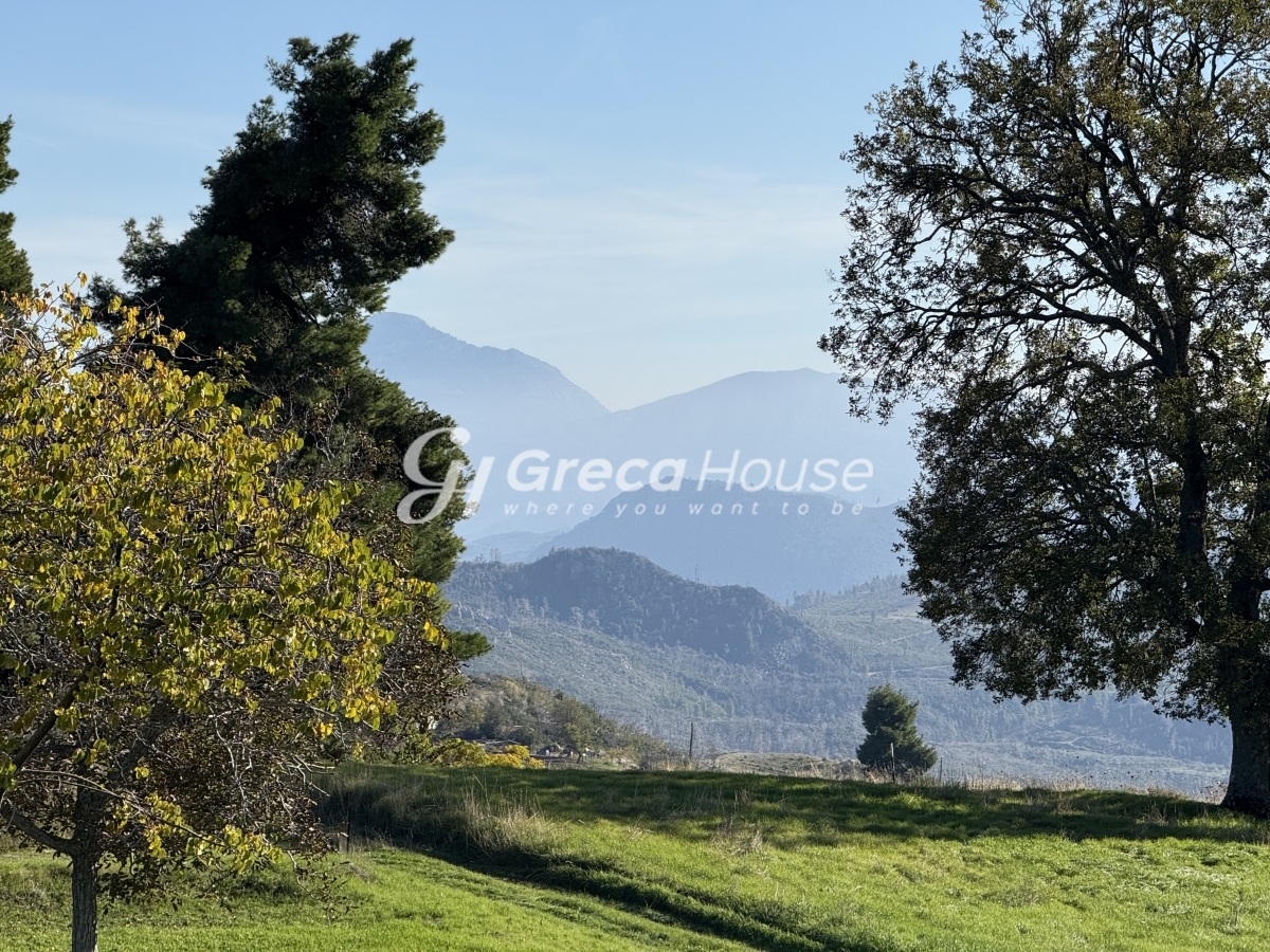 Κτήριο στην Δρυμώνα, Λίμνη — Φωτογραφία 2 από 30