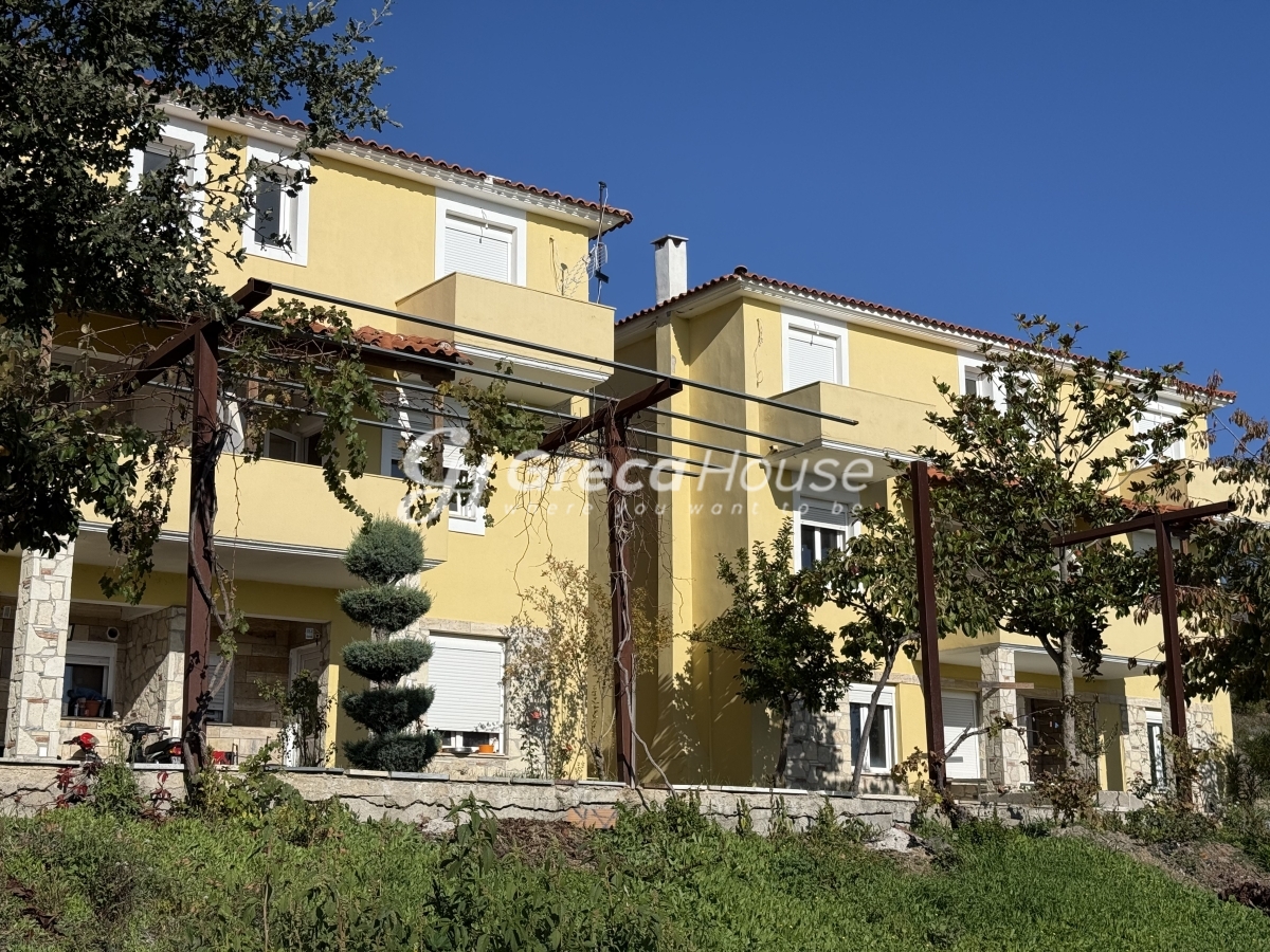 Κτήριο στην Δρυμώνα, Λίμνη — Φωτογραφία 14 από 30