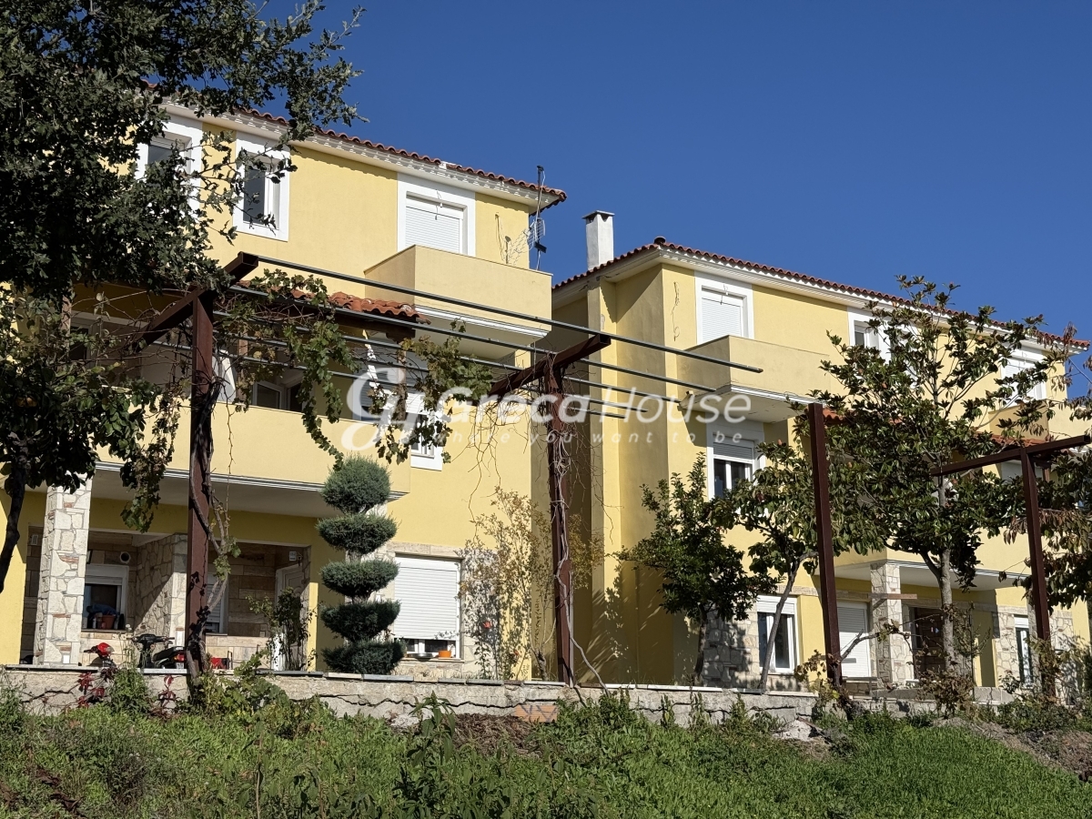 Κτήριο στην Δρυμώνα, Λίμνη — Φωτογραφία 5 από 30