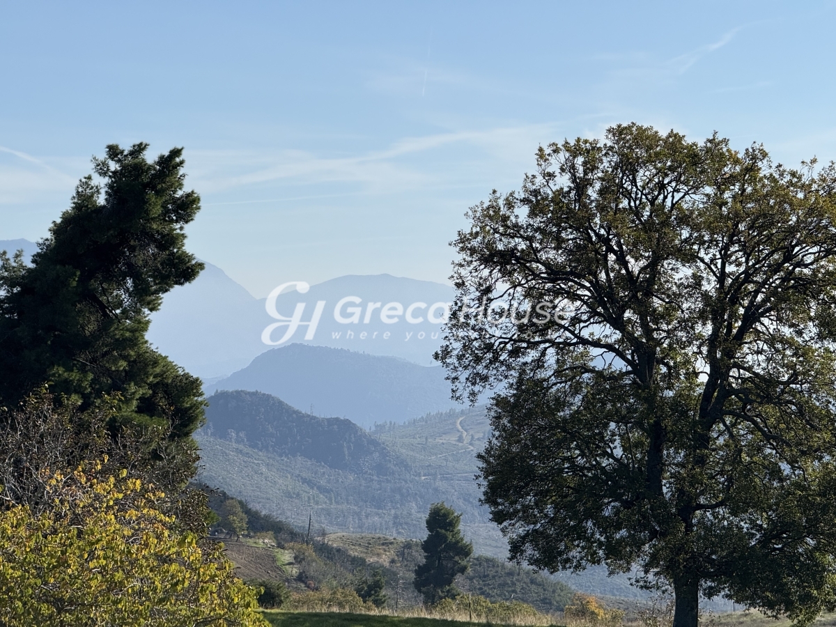 Κτήριο στην Δρυμώνα, Λίμνη — Φωτογραφία 15 από 30