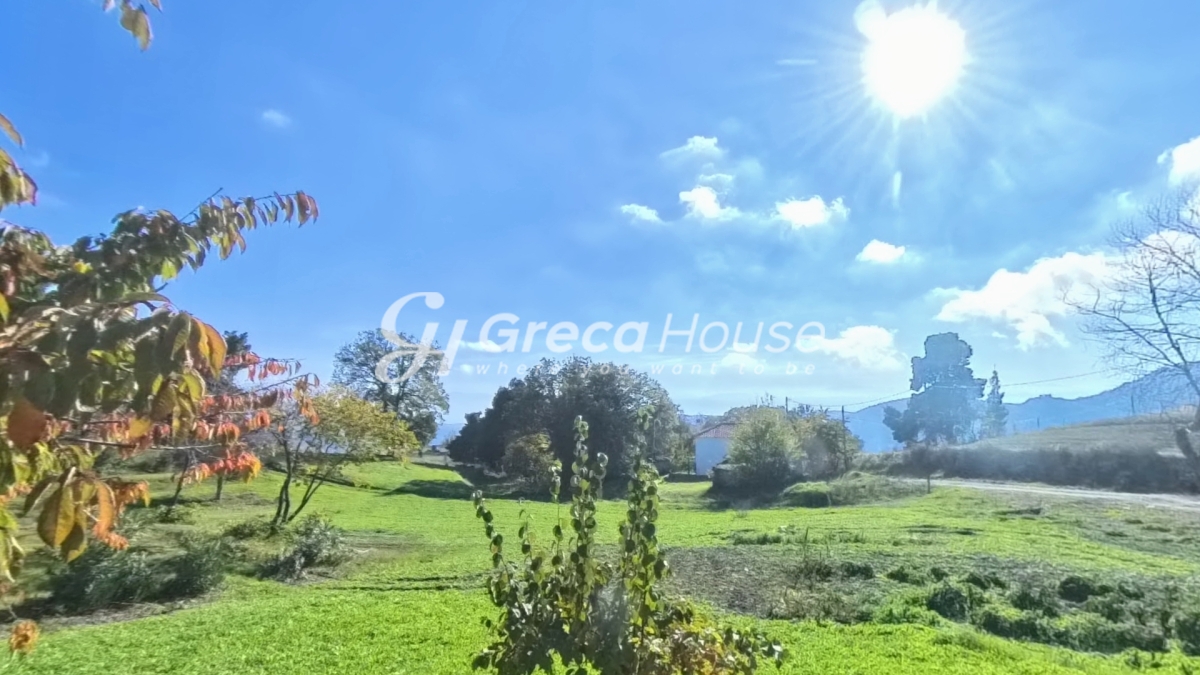 Κτήριο στην Δρυμώνα, Λίμνη — Φωτογραφία 20 από 30