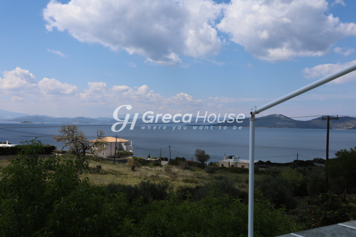 Μονοκατοικία στην Νέα Στύρα, Στύρα — Φωτογραφία 3 από 30