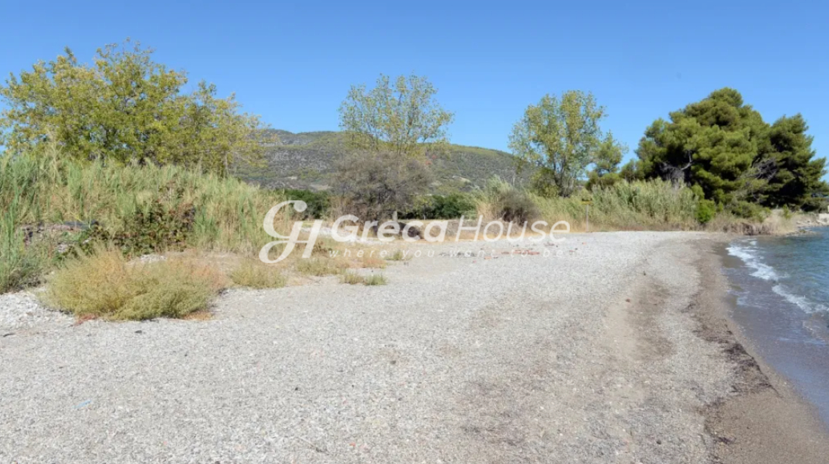 Οικόπεδο στην Αρχαία Επίδαυρος, Επίδαυρος — Φωτογραφία 5 από 8
