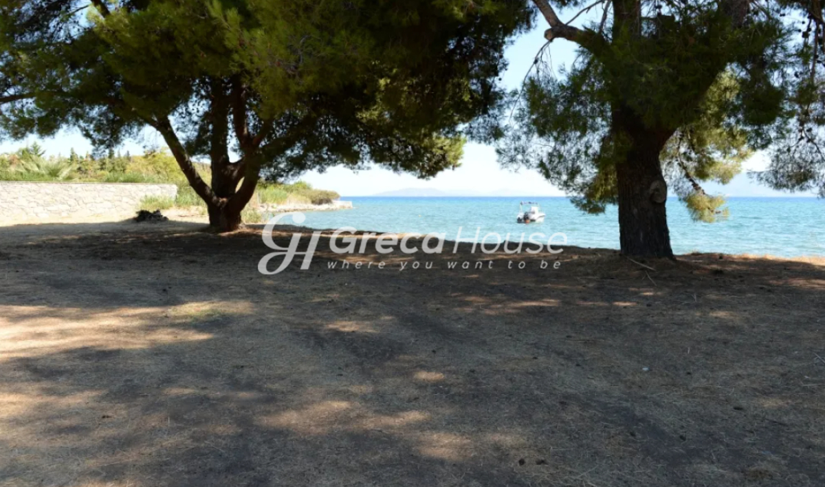 Οικόπεδο στην Αρχαία Επίδαυρος, Επίδαυρος — Φωτογραφία 4 από 8