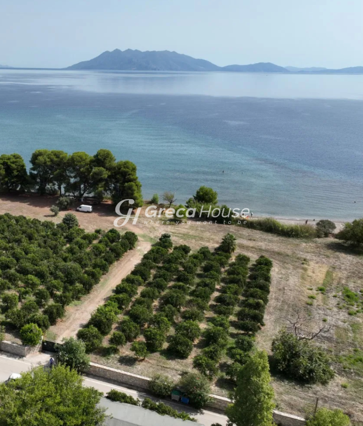 Οικόπεδο στην Αρχαία Επίδαυρος, Επίδαυρος — Φωτογραφία 3 από 8