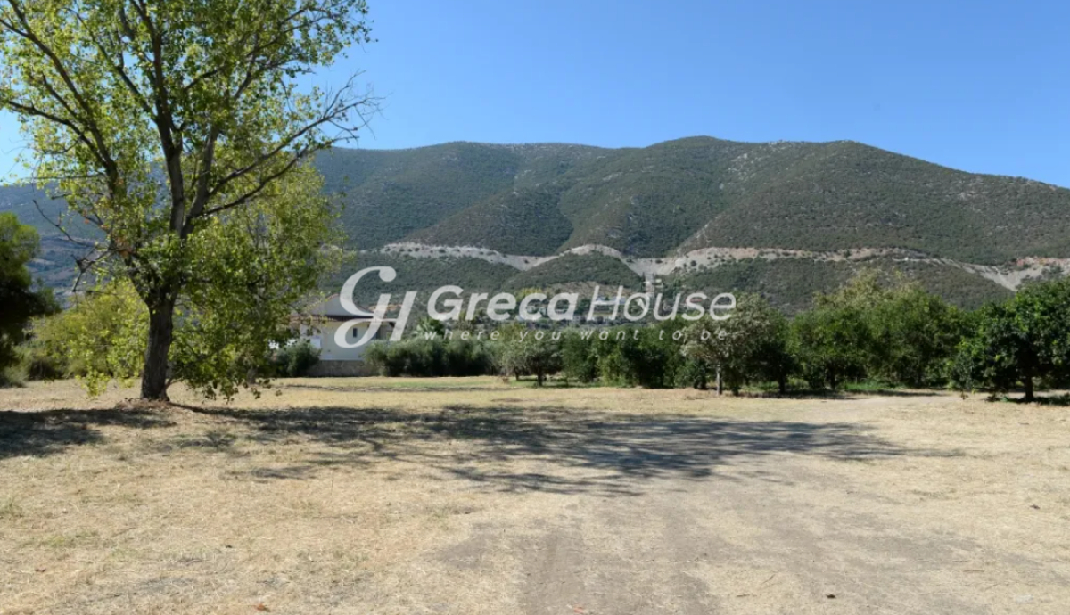Οικόπεδο στην Αρχαία Επίδαυρος, Επίδαυρος — Φωτογραφία 7 από 8