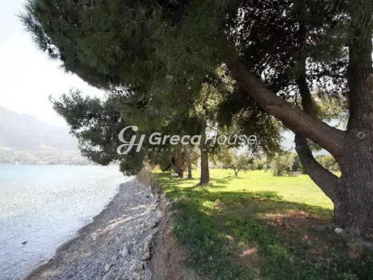 Οικόπεδο στην Αρχαία Επίδαυρος, Επίδαυρος — Φωτογραφία 6 από 8